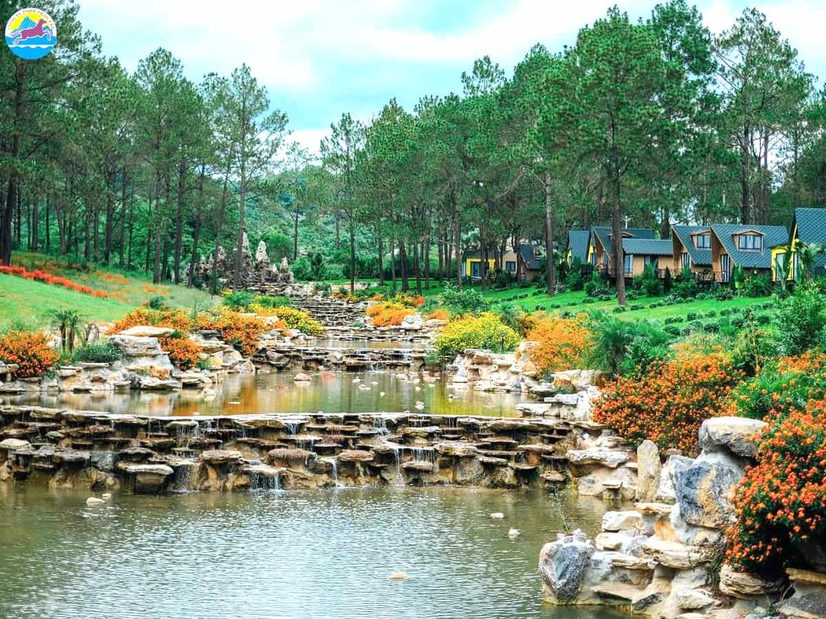 kinh nghiệm du lịch mộc châu tháng 2