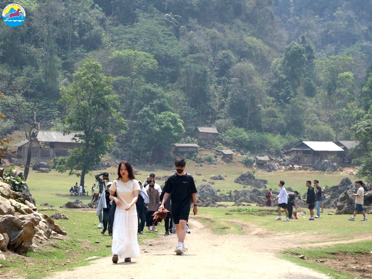 kinh nghiệm du lịch mộc châu tháng 2