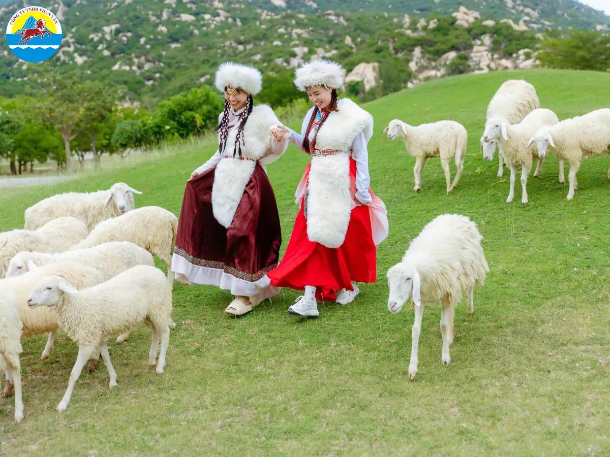 Tour du lịch trọn gói là lựa chọn tối ưu cho du khách muốn khám phá Mông Cổ thuận tiện