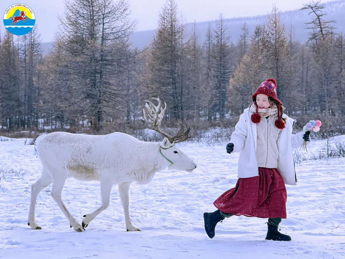 Phan Văn Travel mang đến tour Mông Cổ trọn gói