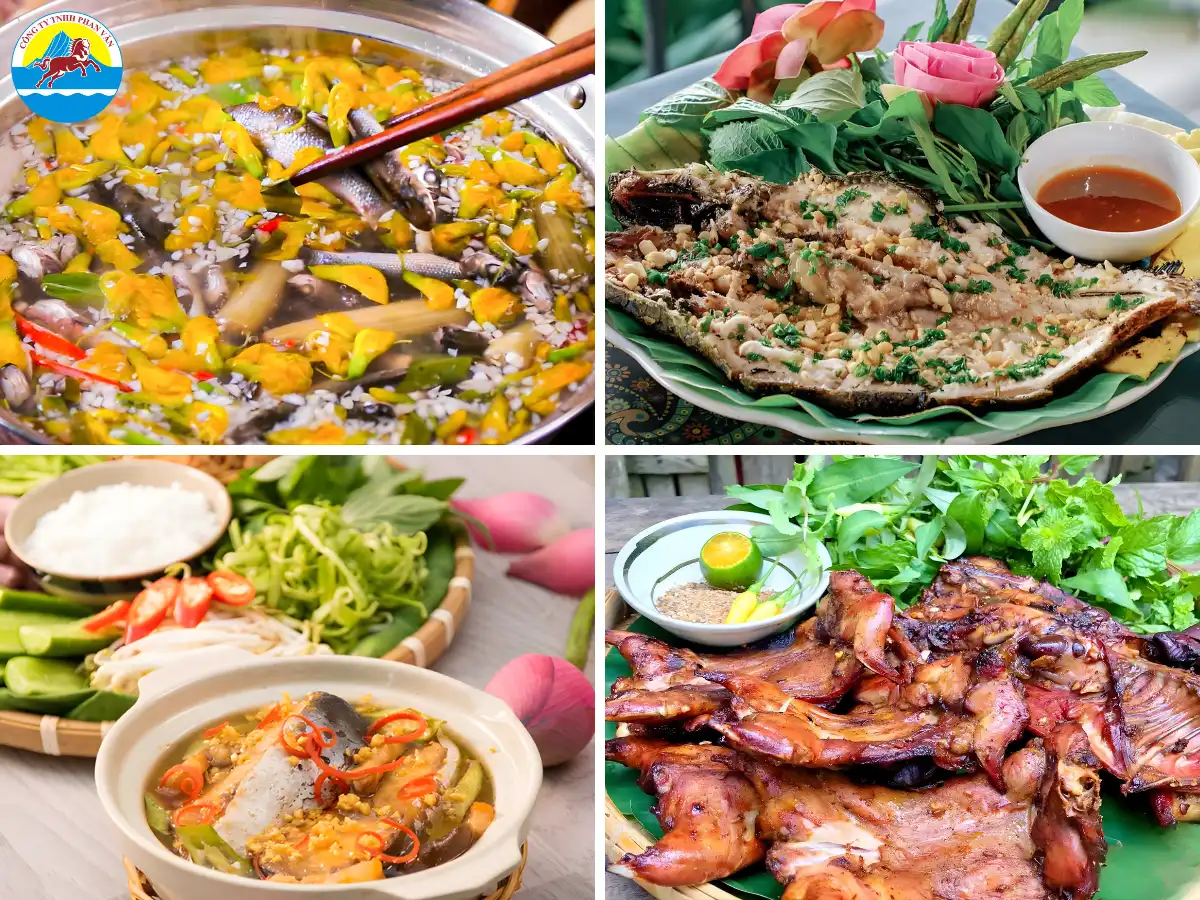 du lịch mùa nước nổi Đồng Tháp​