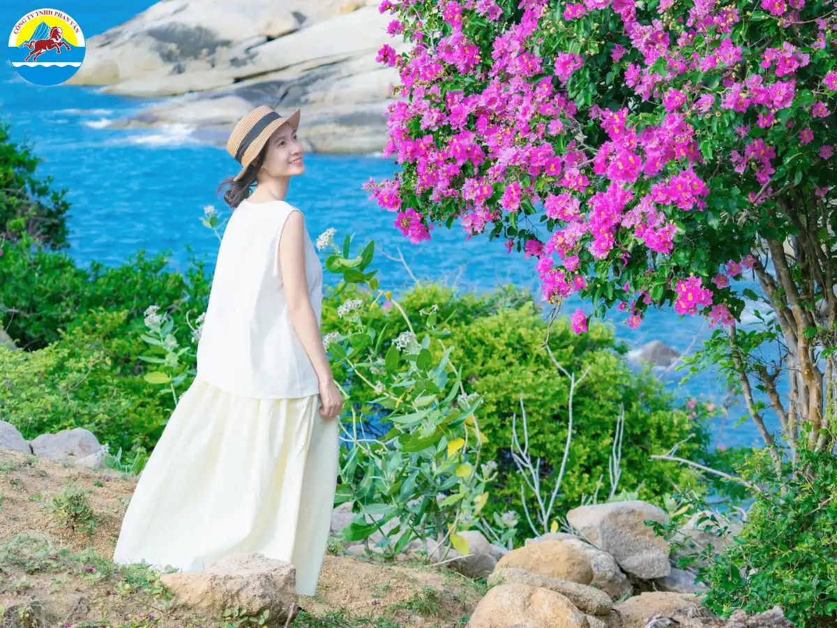 du lịch Mũi Dinh Ninh Thuận