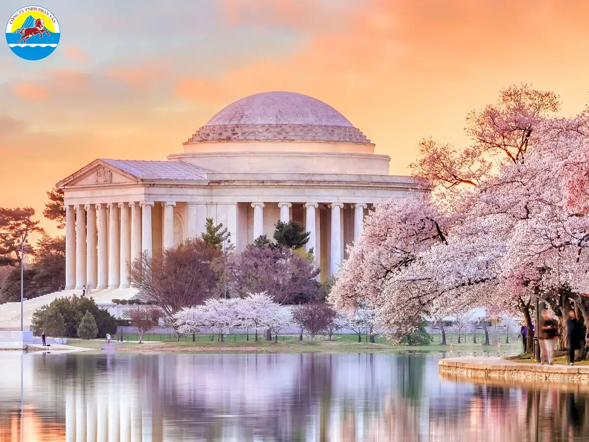 Lễ hội hoa anh đào ở Washington D.C