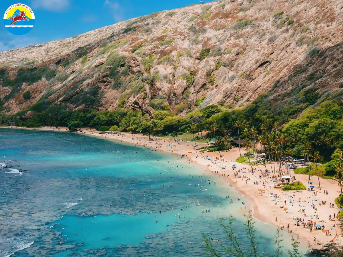 Tận hưởng nắng ấm Hawaii