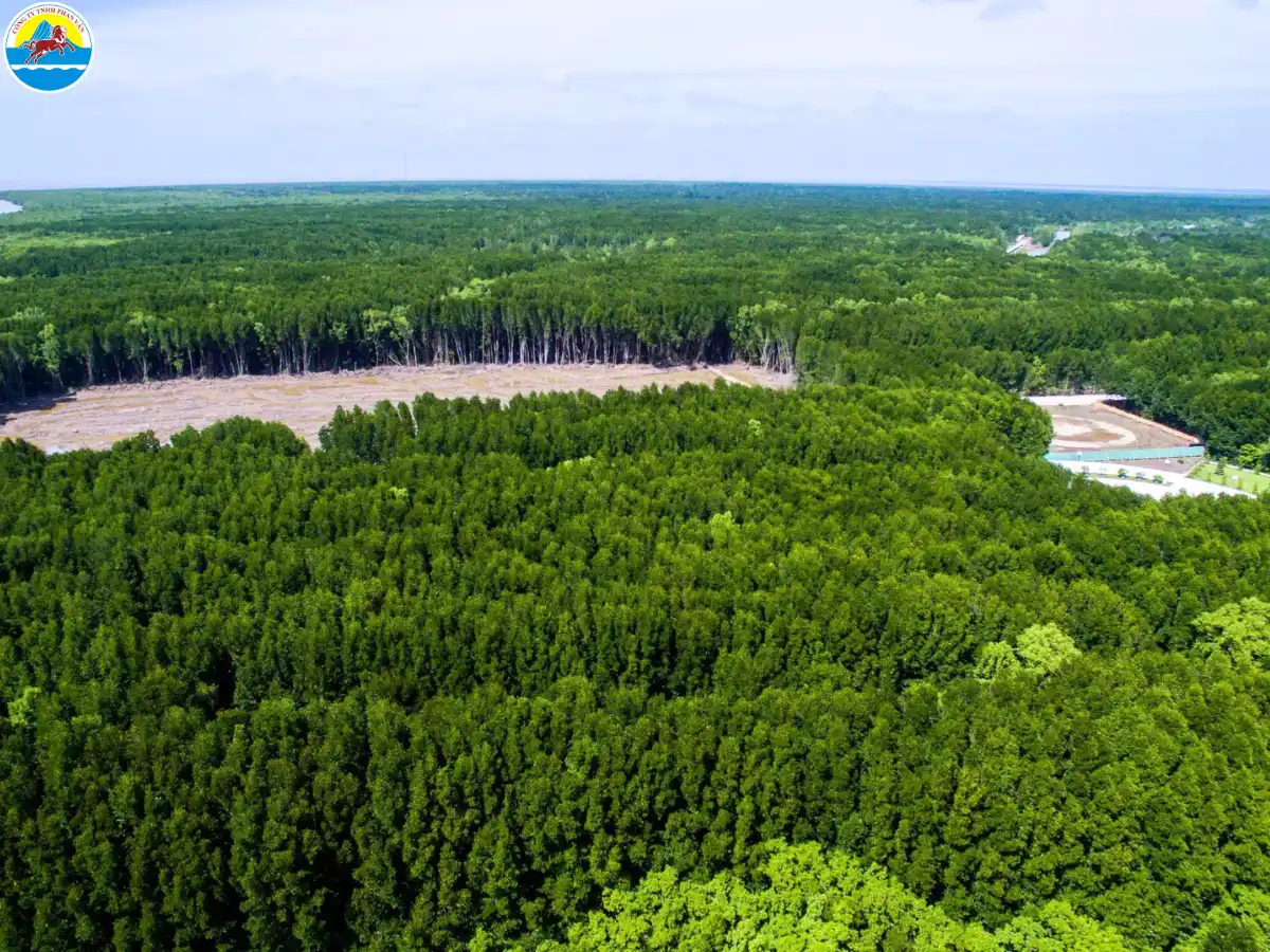 du lịch năm căn cà mau​