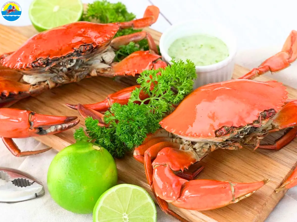 du lịch năm căn cà mau