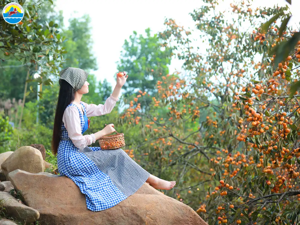 du lịch nam đàn nghệ an​