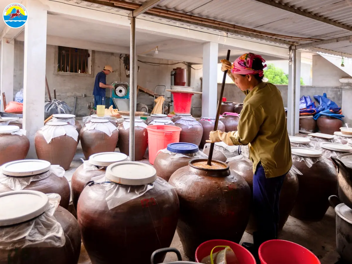 du lịch nam đàn nghệ an​