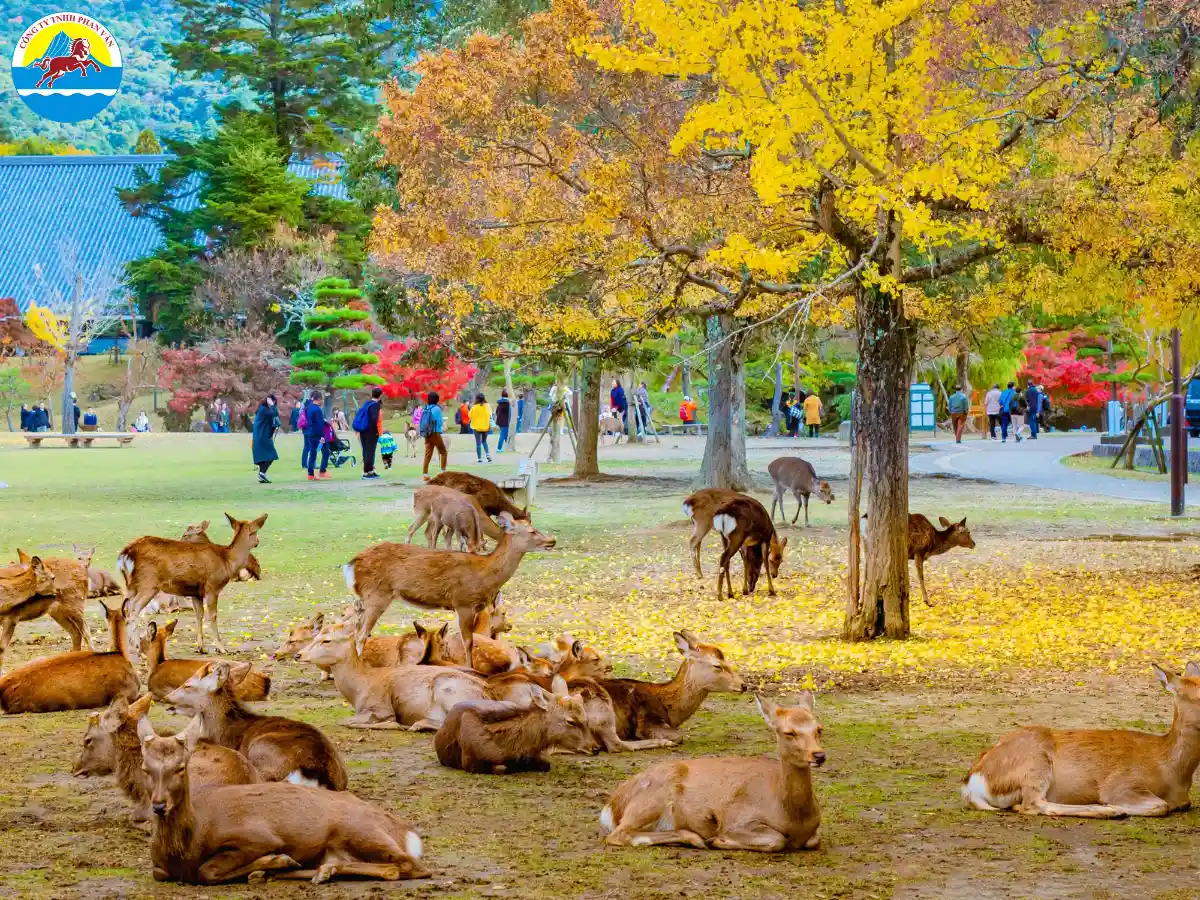 Công viên Nara