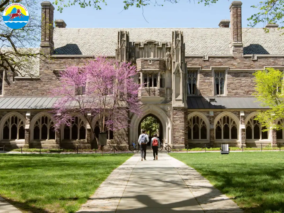 Princeton University