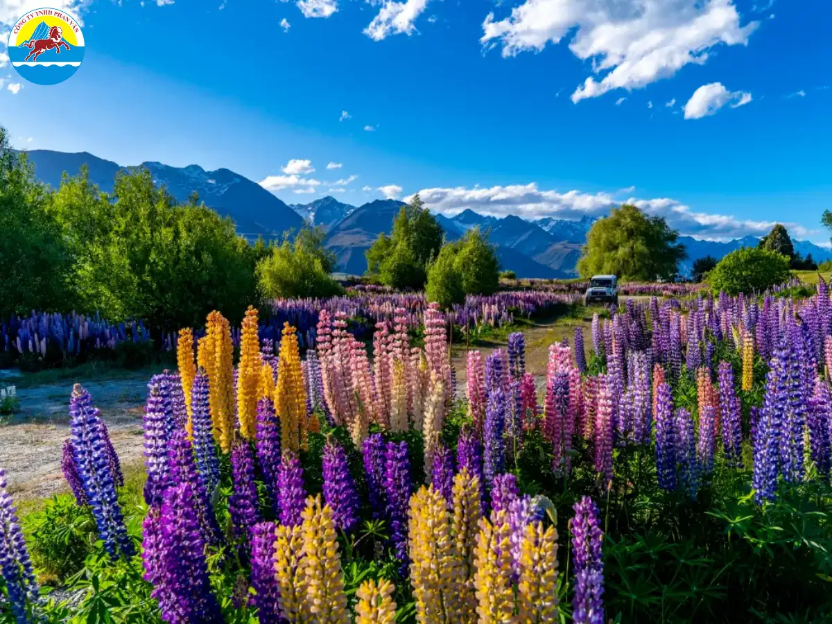 du lịch New Zealand mùa nào đẹp nhất​