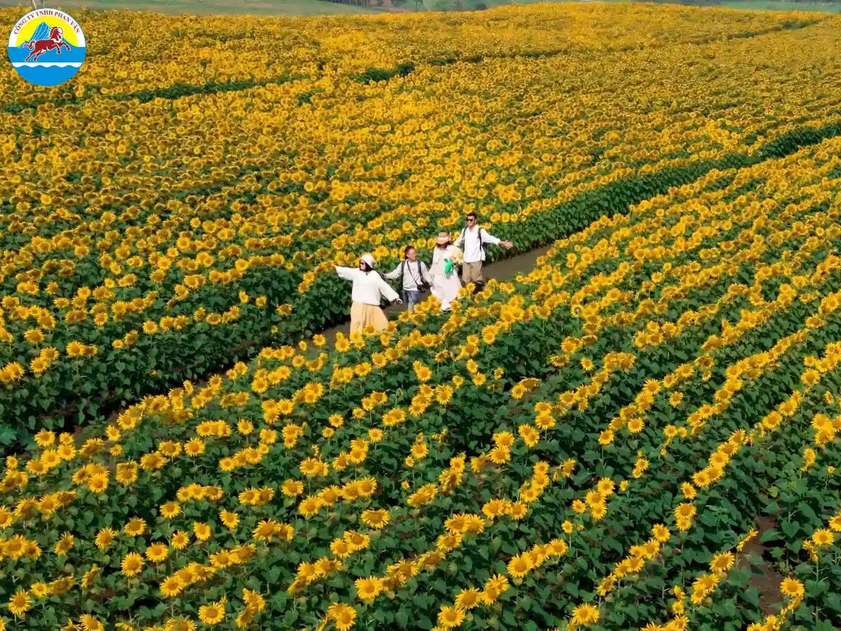 du lịch Nghệ An 2 ngày 1 đêm