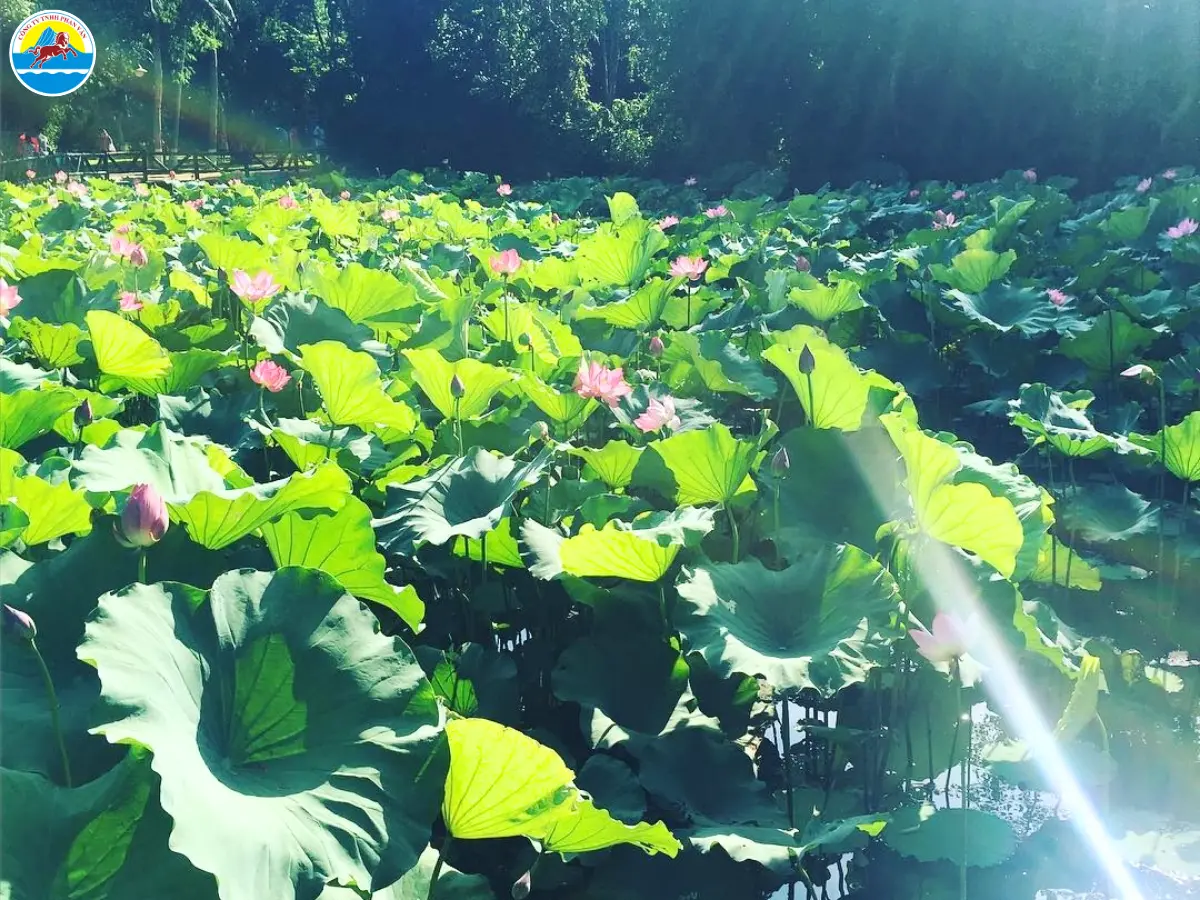 du lịch nghệ an 2 ngày 1 đêm