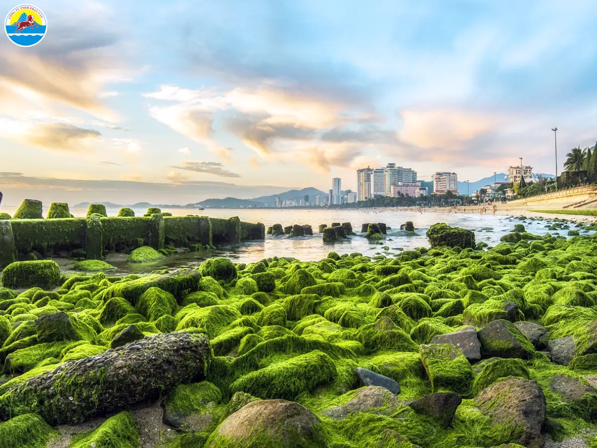 du lịch nha trang tháng 1