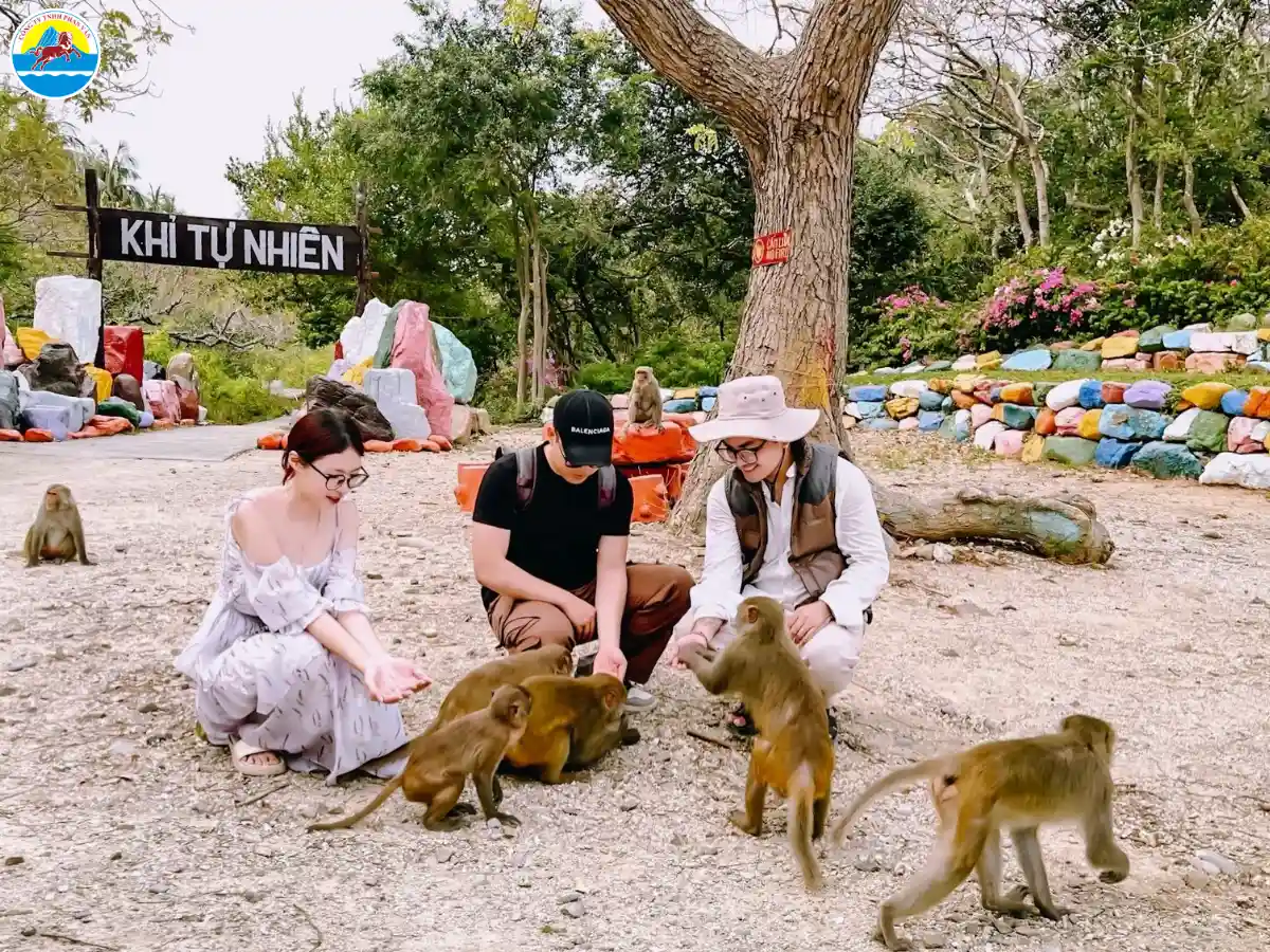 kinh nghiệm du lịch nha trang tháng 11​