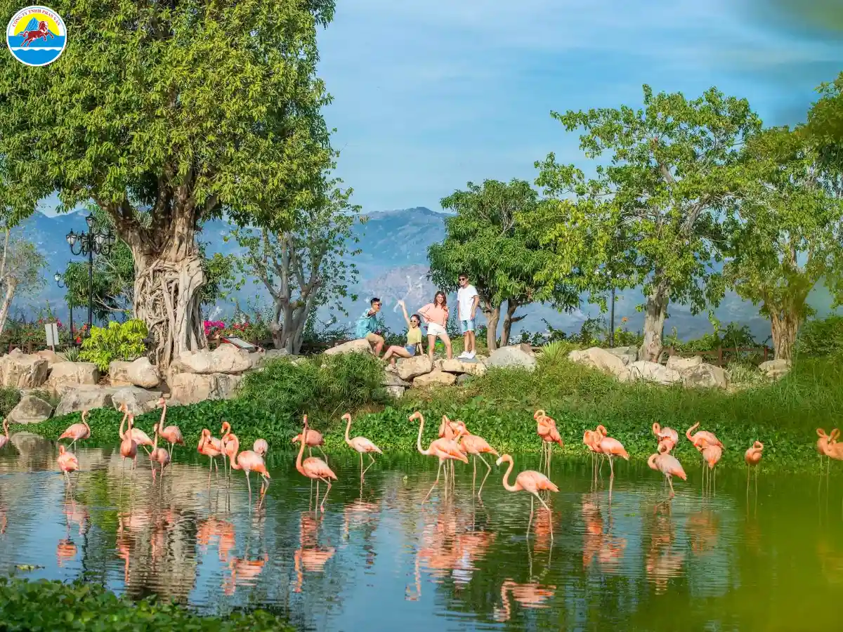 nha trang tháng 2​