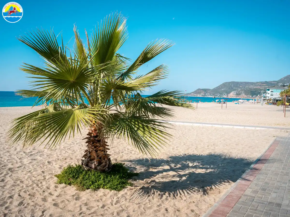 du lịch nha trang tháng 6​