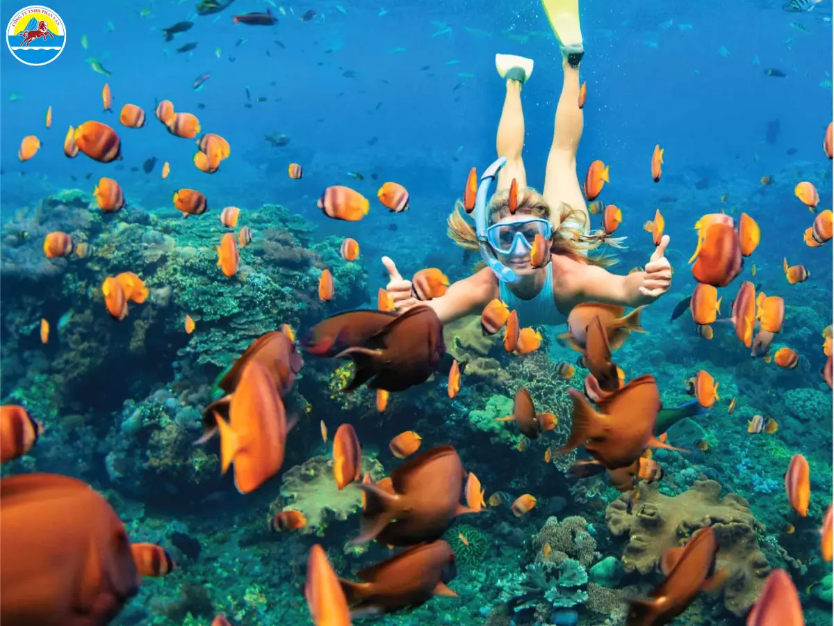 du lịch nha trang tháng 6