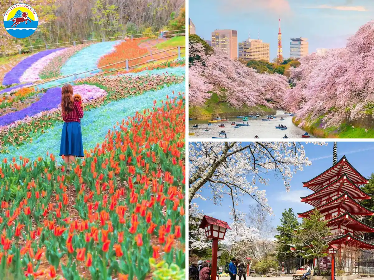 Du lịch Nhật Bản trọn gói là giải pháp tối ưu cho những ai mong muốn chuyến đi thoải mái