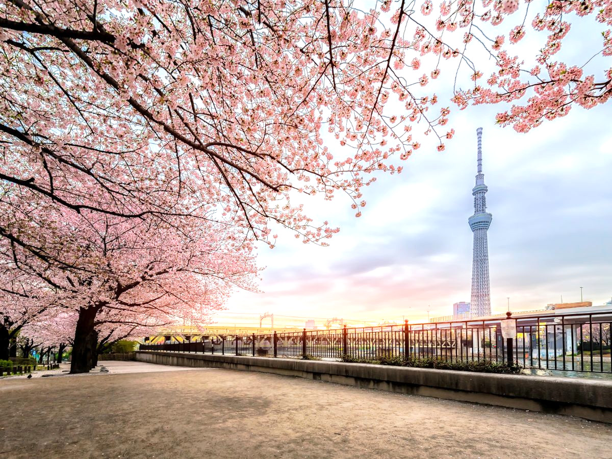 du-lich-nhat-ban-lan-dau-phan-van-travel-1