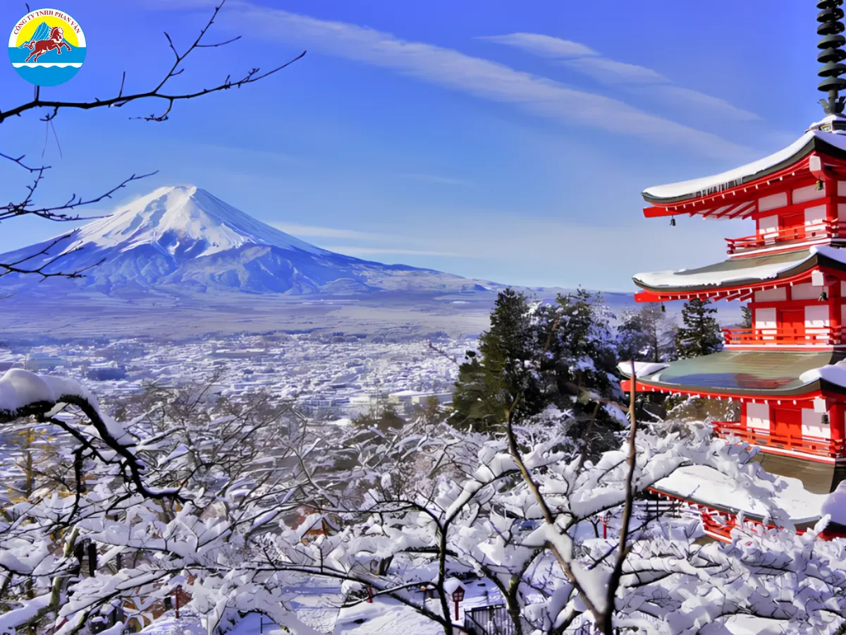 Phan Văn Travel sở hữu các tour du lịch uy tín, chất lượng