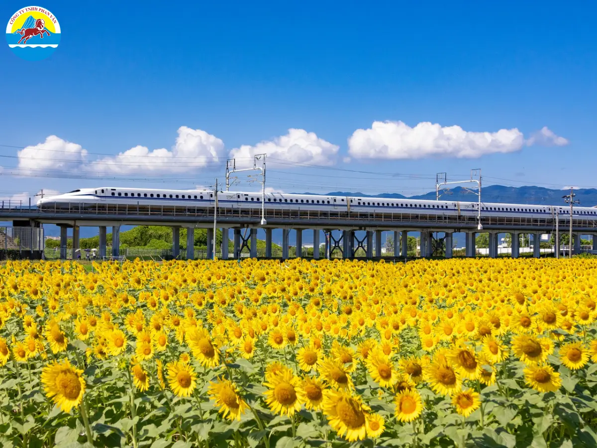 Nên đặt vé tàu Shinkansen để tránh xếp hàng lâu
