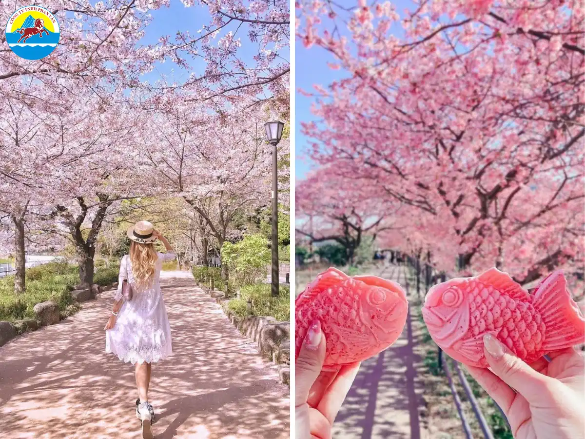 Phan Văn Travel có kinh nghiệm tổ chức tour chuyên nghiệp