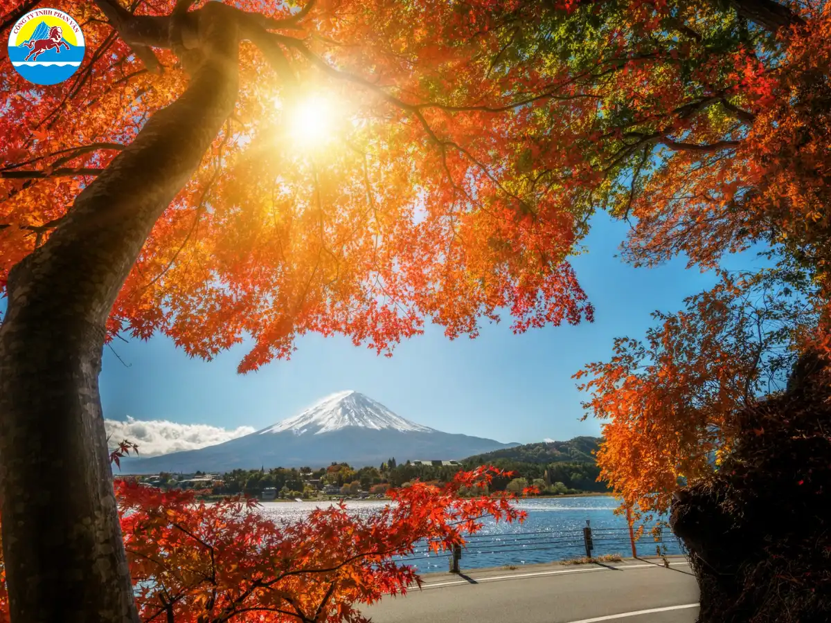 Khoảng giữa tháng 9 đến đầu tháng 12, Nhật Bản bước vào mùa thu