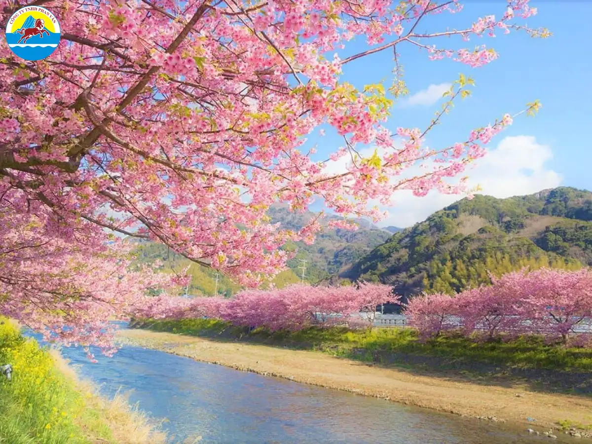 Nhật Bản tháng 3 là giai đoạn chuyển giao từ mùa đông sang mùa xuân