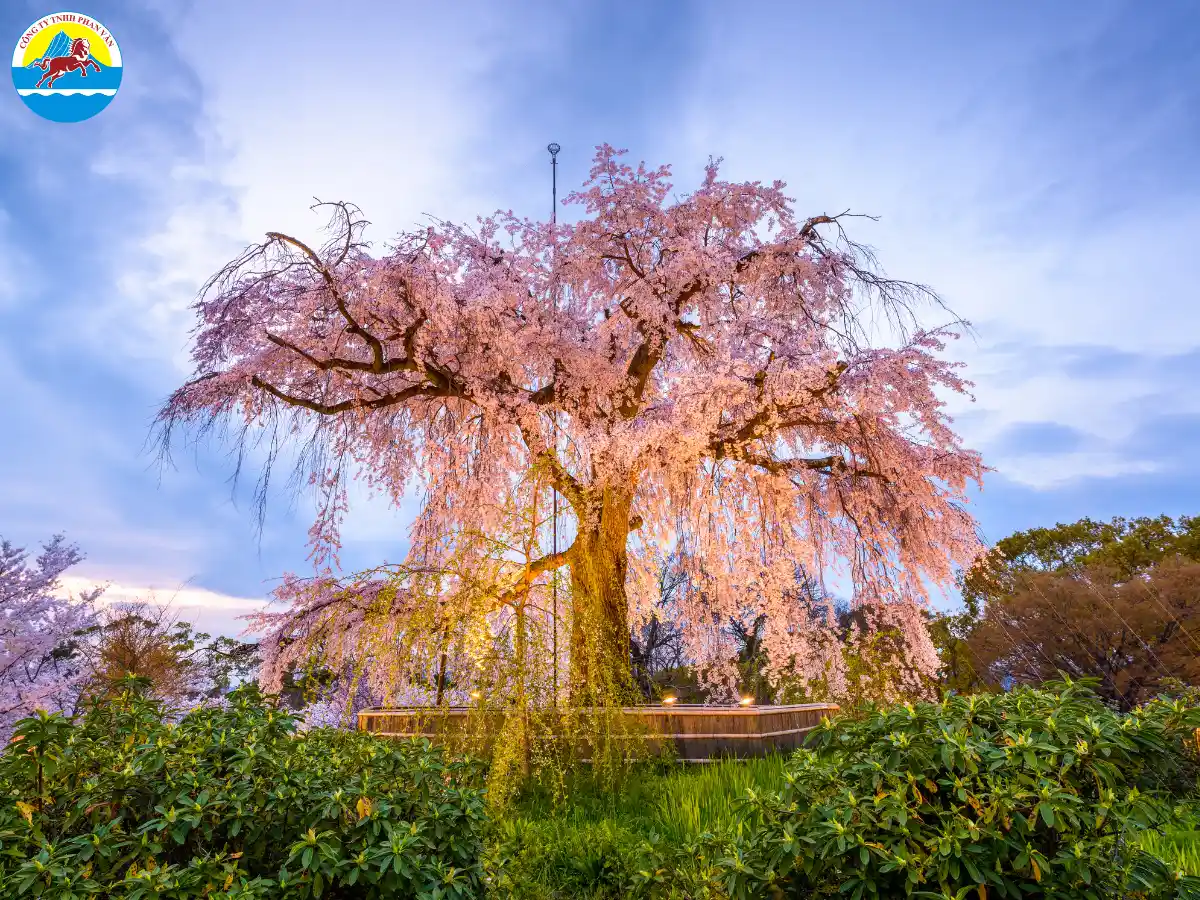 Công viên Maruyama