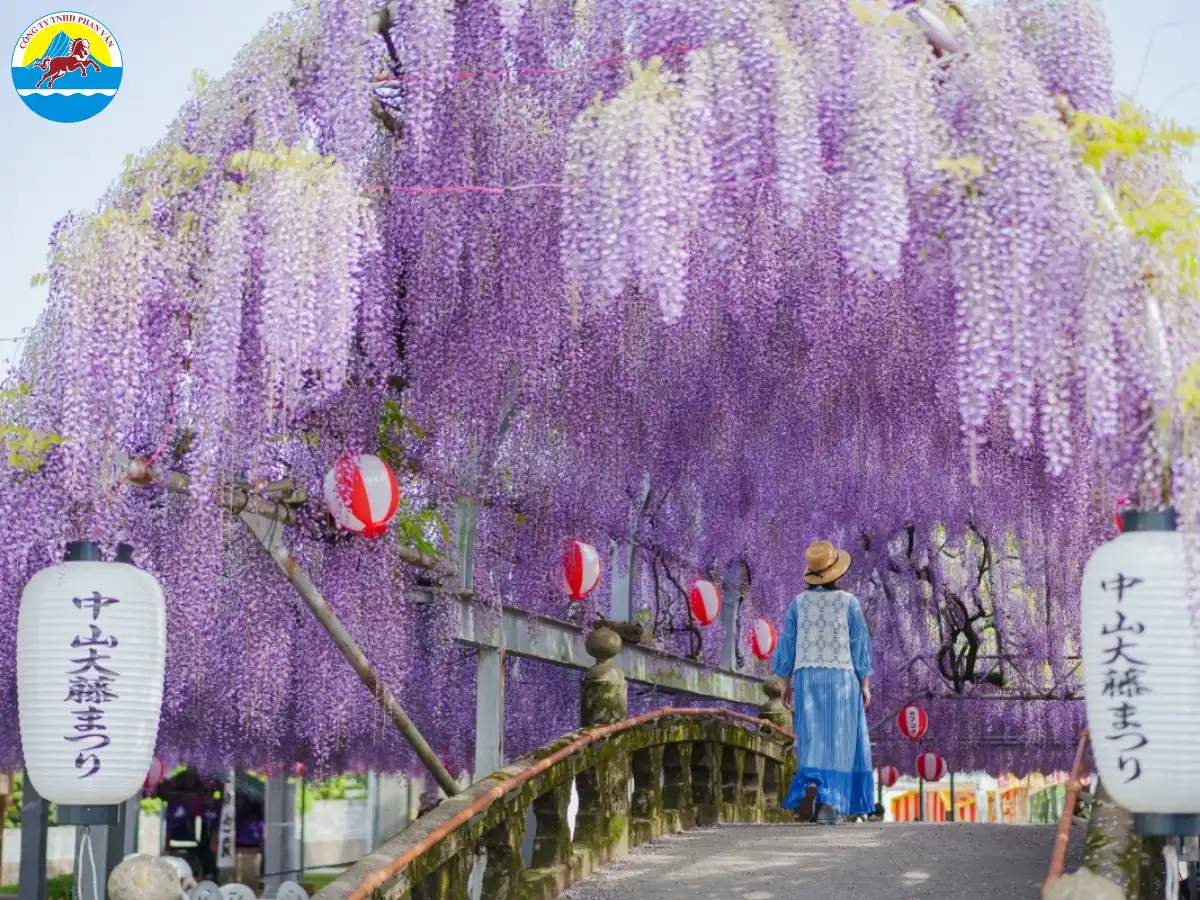 Tháng 5 là giai đoạn chuyển giao giữa mùa xuân và mùa hè