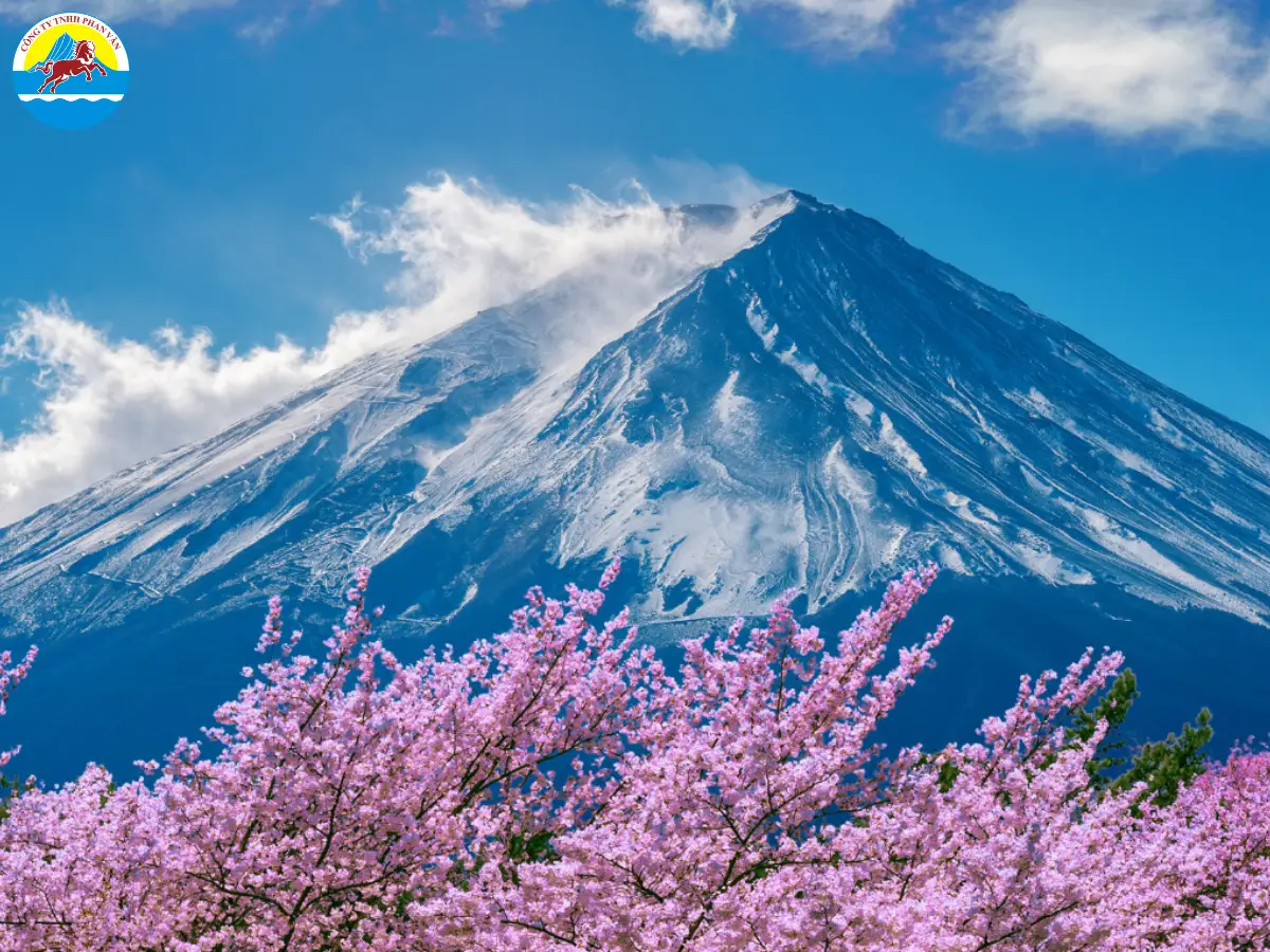 Núi Phú Sĩ (Fuji-san)