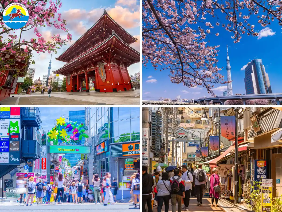 Khám phá Tokyo (Kanto)