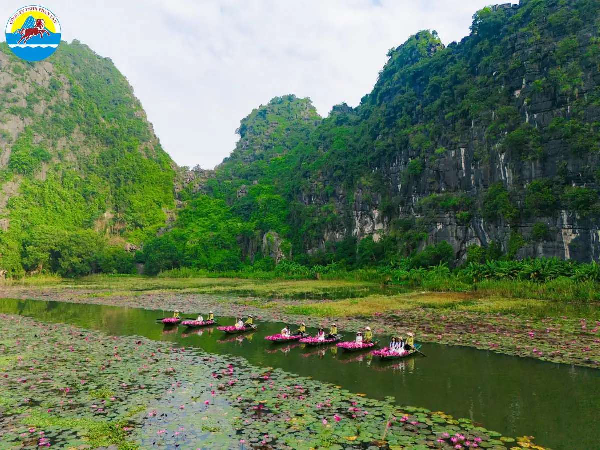 Chèo thuyền Tam Cốc