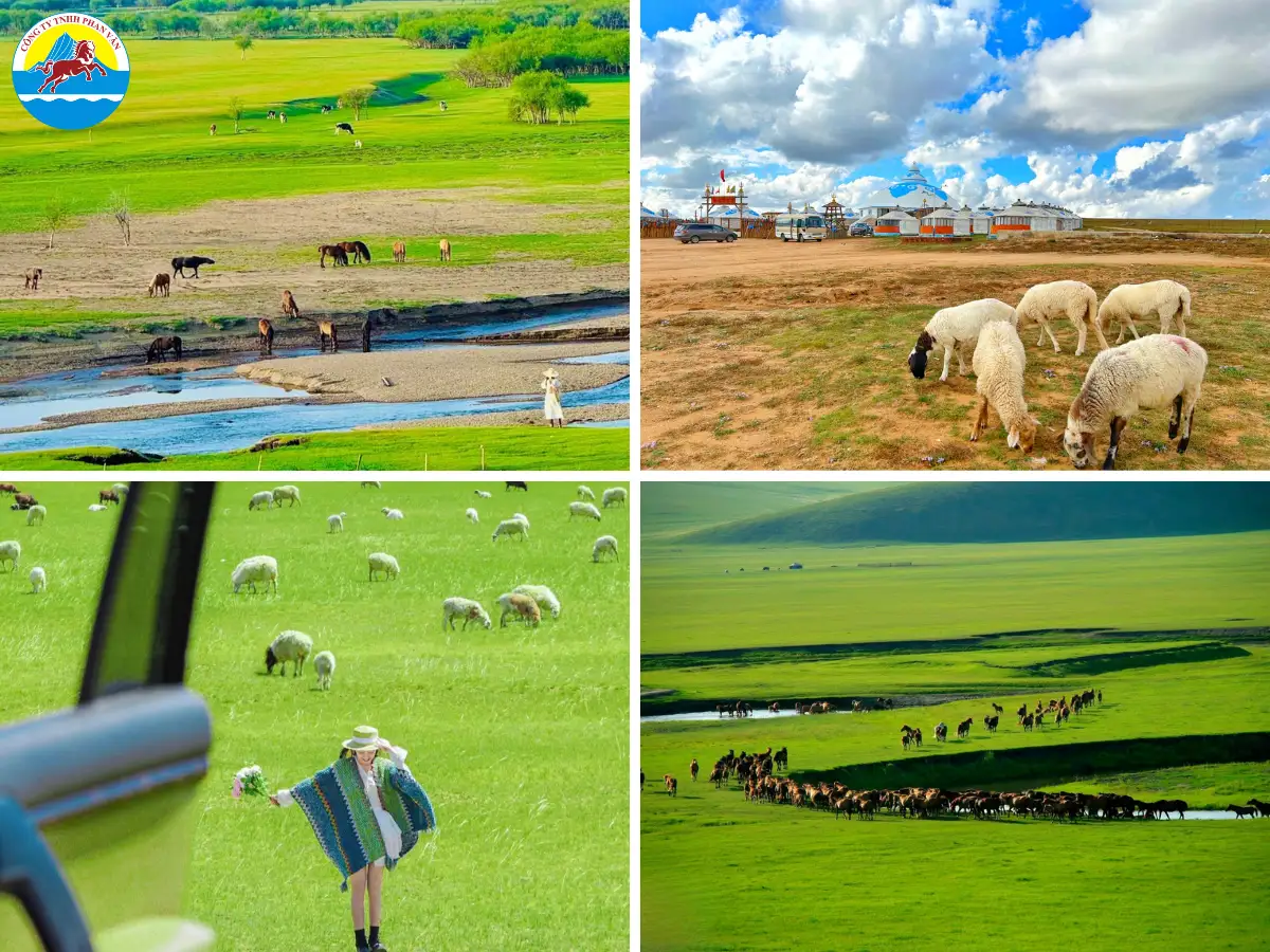 Nội Mông sở hữu những thảo nguyên rộng lớn