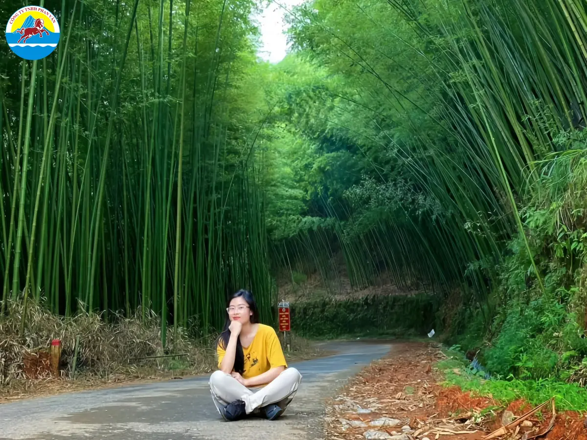 Vườn trúc Bác Hồ