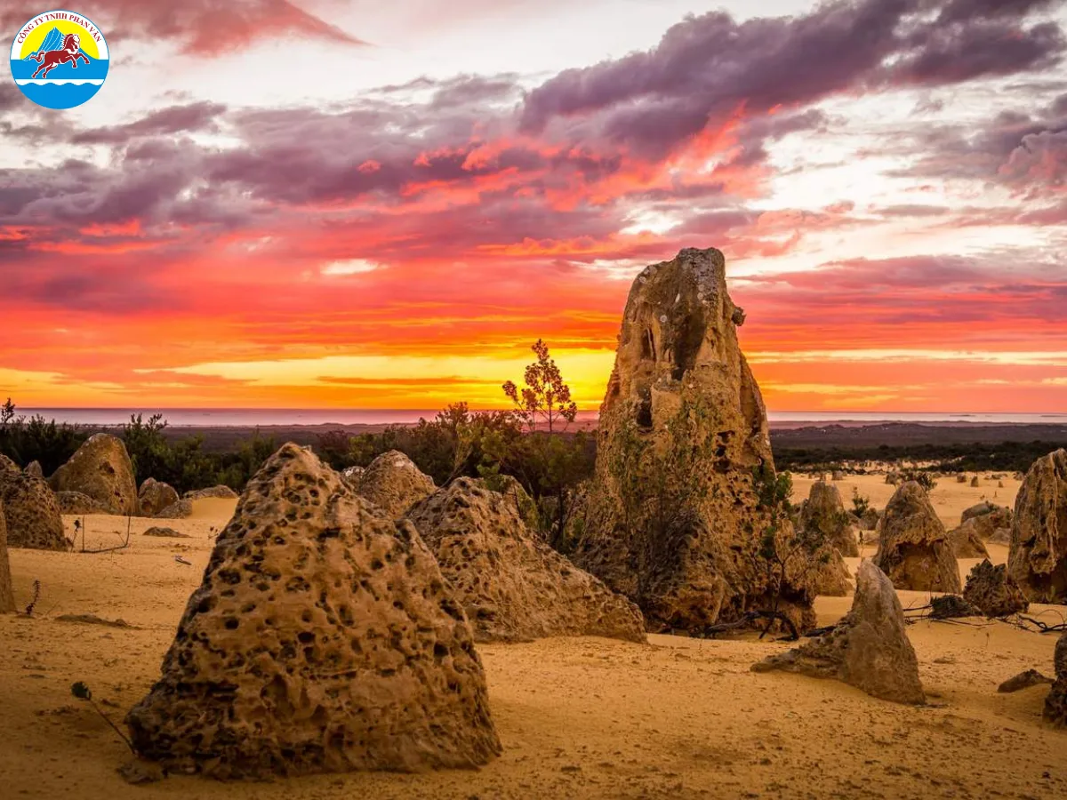 Pinnacles Desert