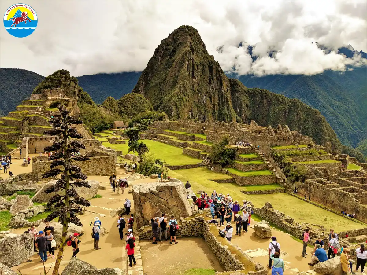 Machu Picchu
