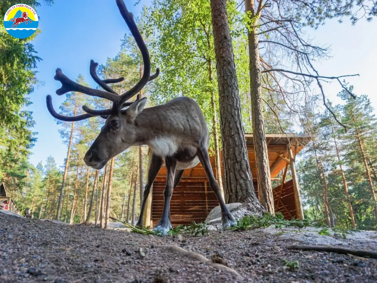 Công viên Nuuksio