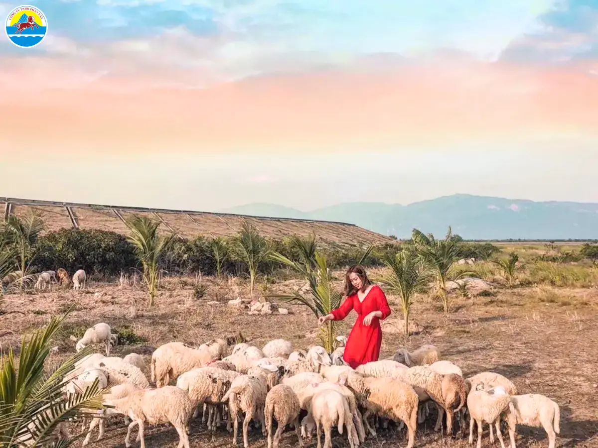 du lịch phan rang tháp chàm​