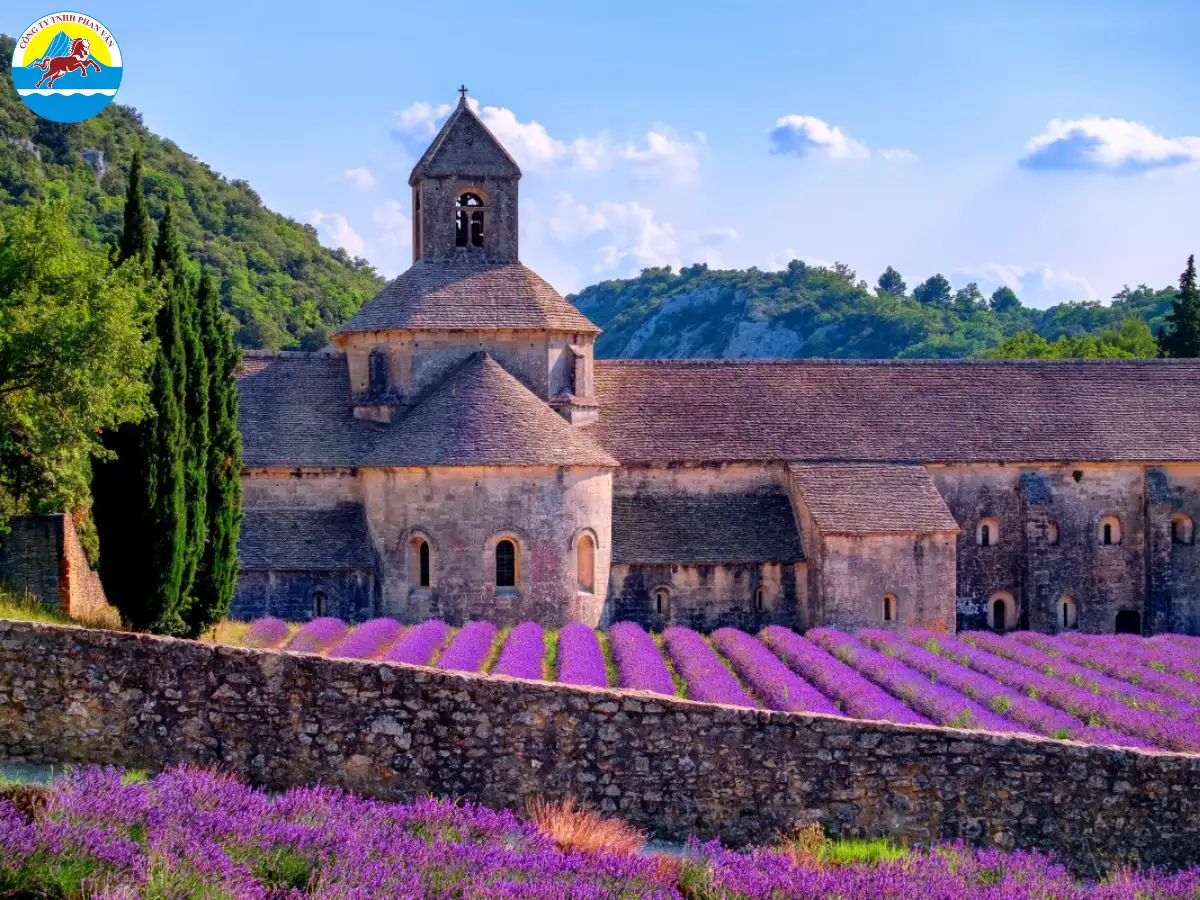 Cánh đồng Oải hương Provence