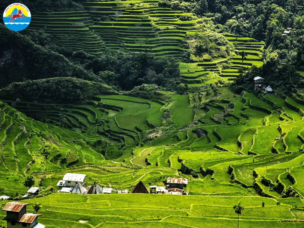 Ruộng Bậc Thang Banaue - Ifugao