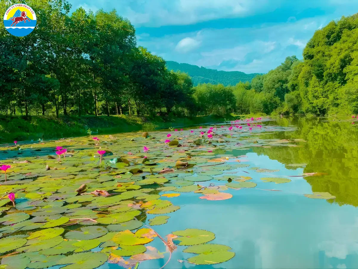 du lịch Phổ Yên Thái Nguyên