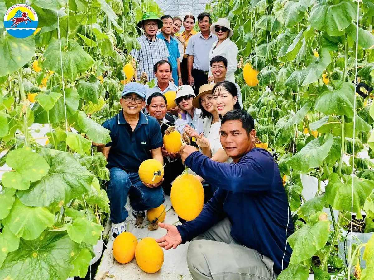 du lịch Phú Bình Thái Nguyên