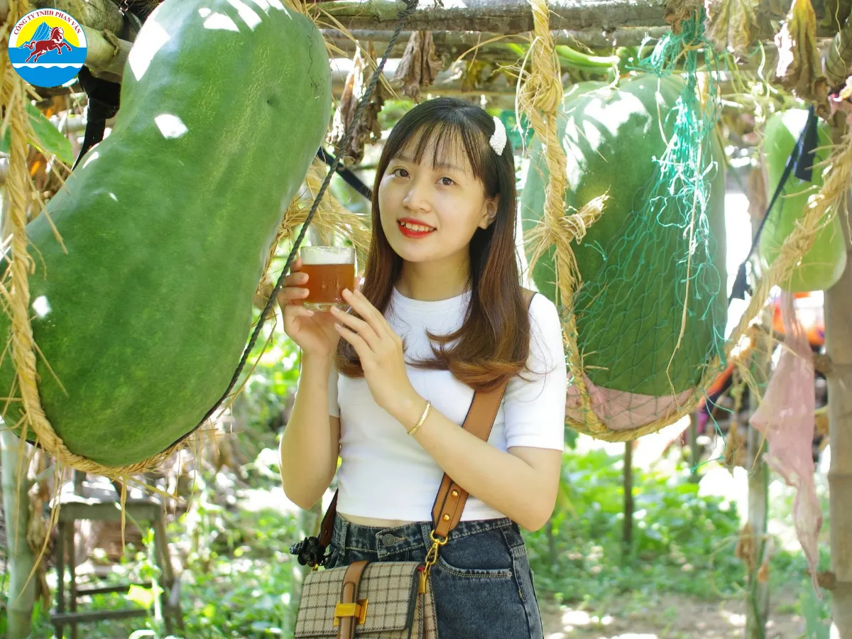 Làng bí đao khổng lồ