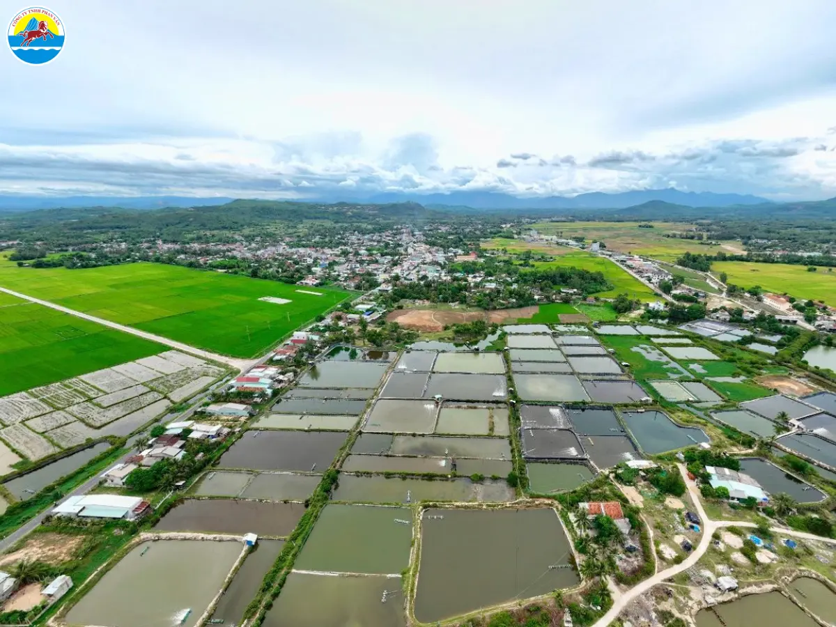 phù mỹ bình định có gì chơi