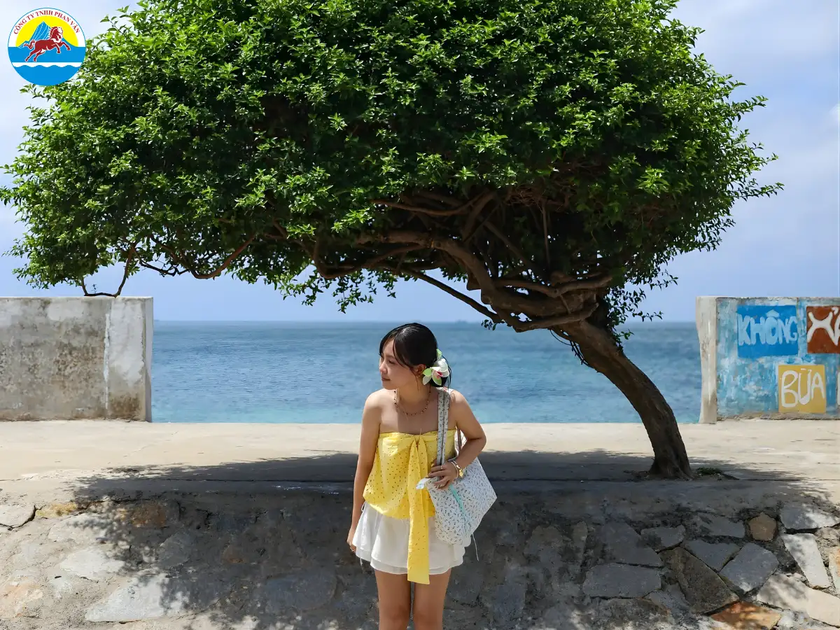 du lịch Phú Quý 2 ngày 1 đêm​