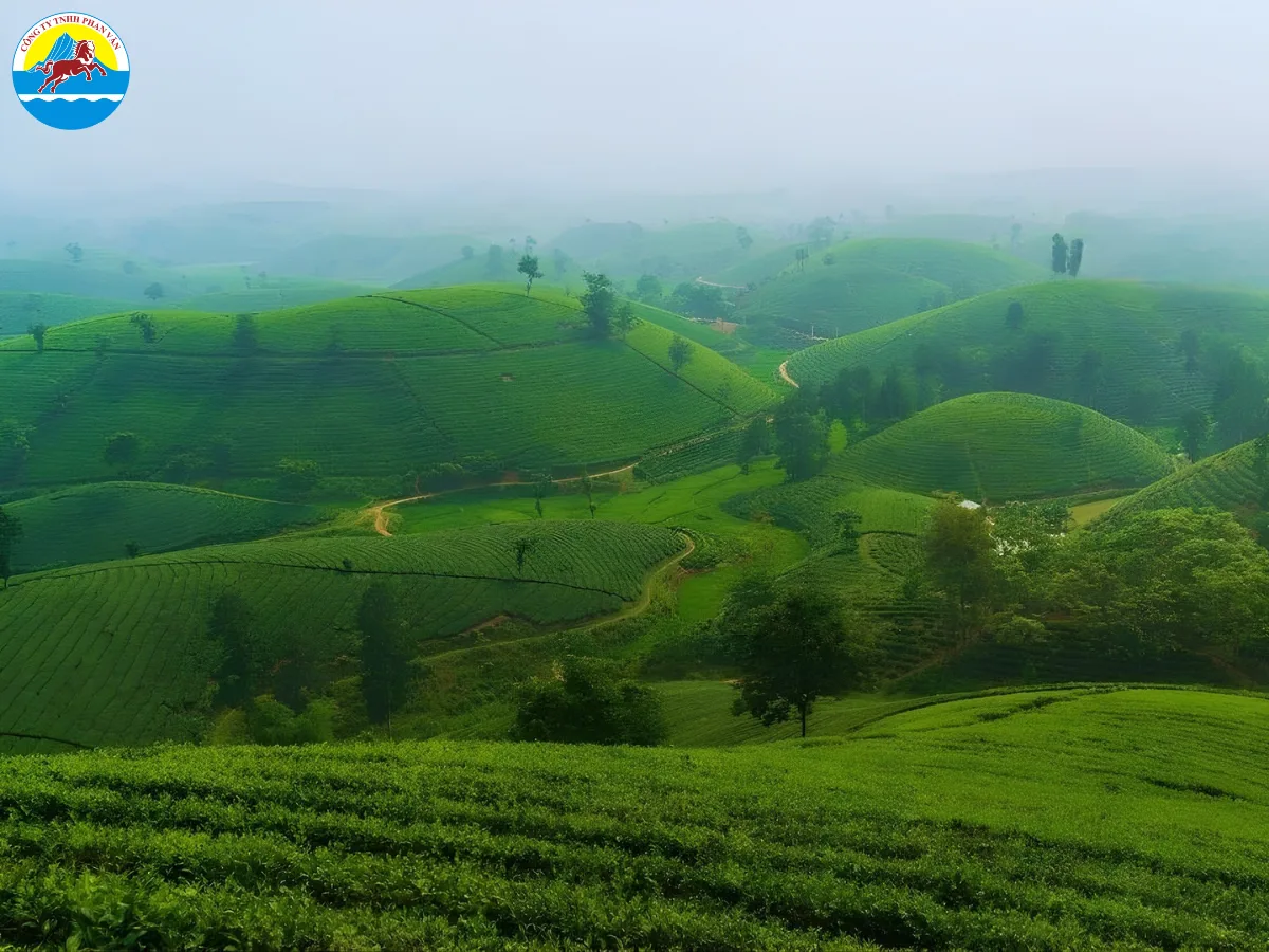 du lịch Phú Thọ