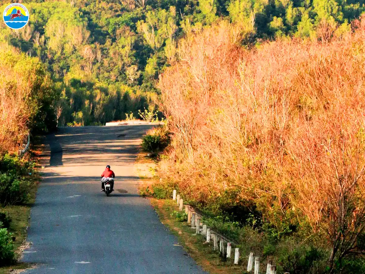 đi du lịch phú yên mùa nào đẹp nhất