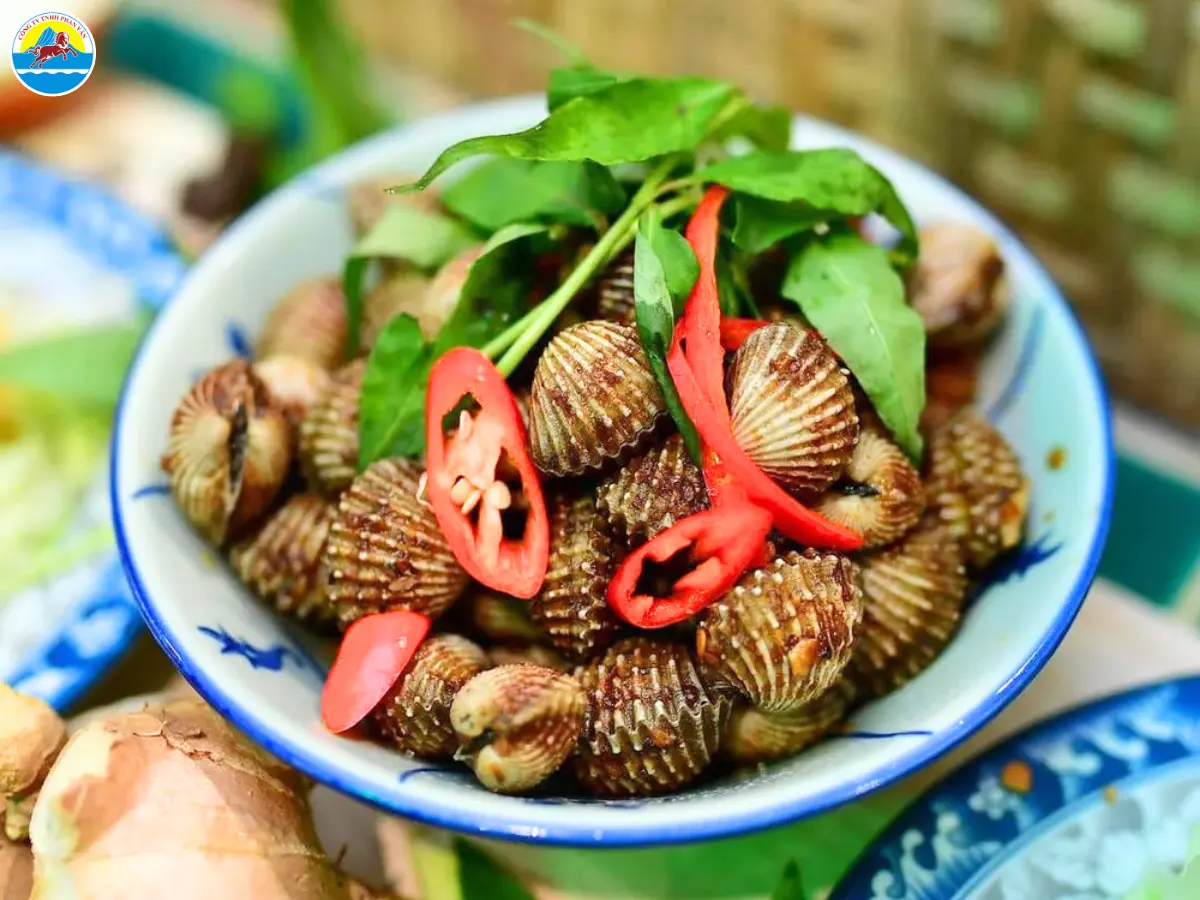 du lịch tự túc phú yên